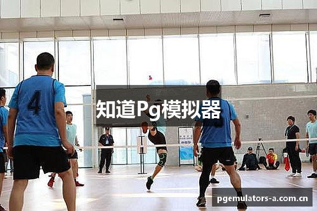 知道Pg模拟器